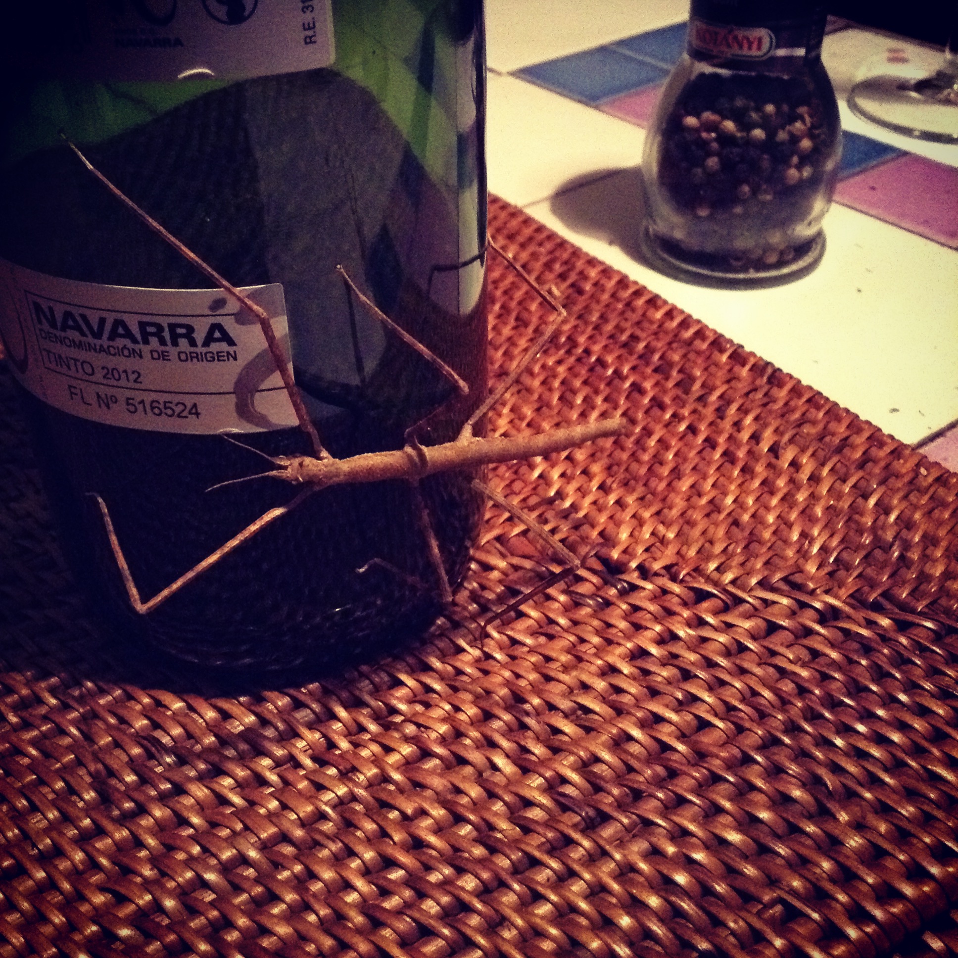  A stick bug is on a bottle of wine.